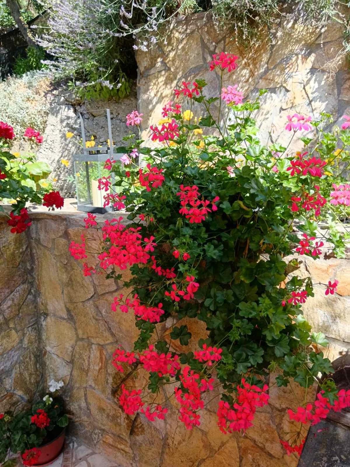 Gorazde-Centar Apartment מראה חיצוני תמונה